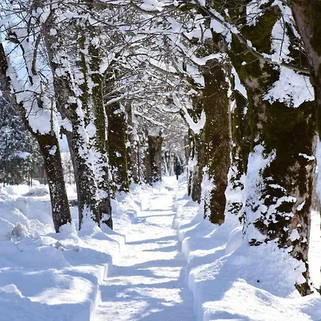 Casa de Férias Baer Comfortable Eben Im Pongau